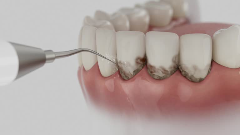 Reliable Dental contractor in Sheridan, IN by Dentist Open Now